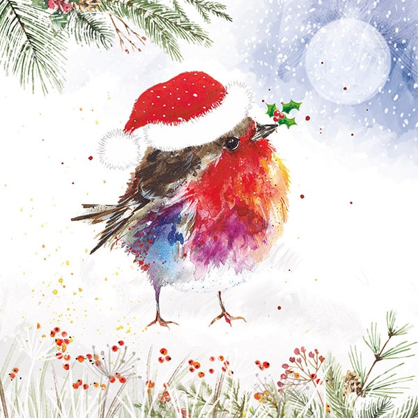Fluffy Robin in the Snow Christmas Cards