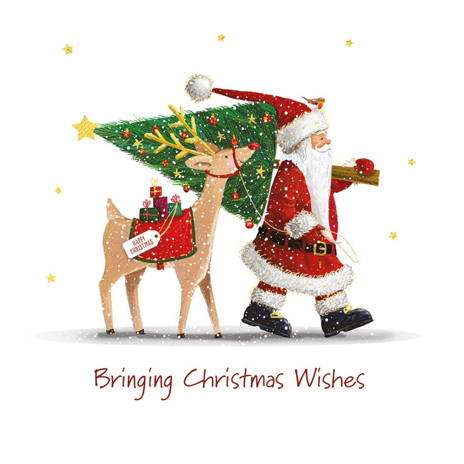 Santa's on His Way Christmas Cards