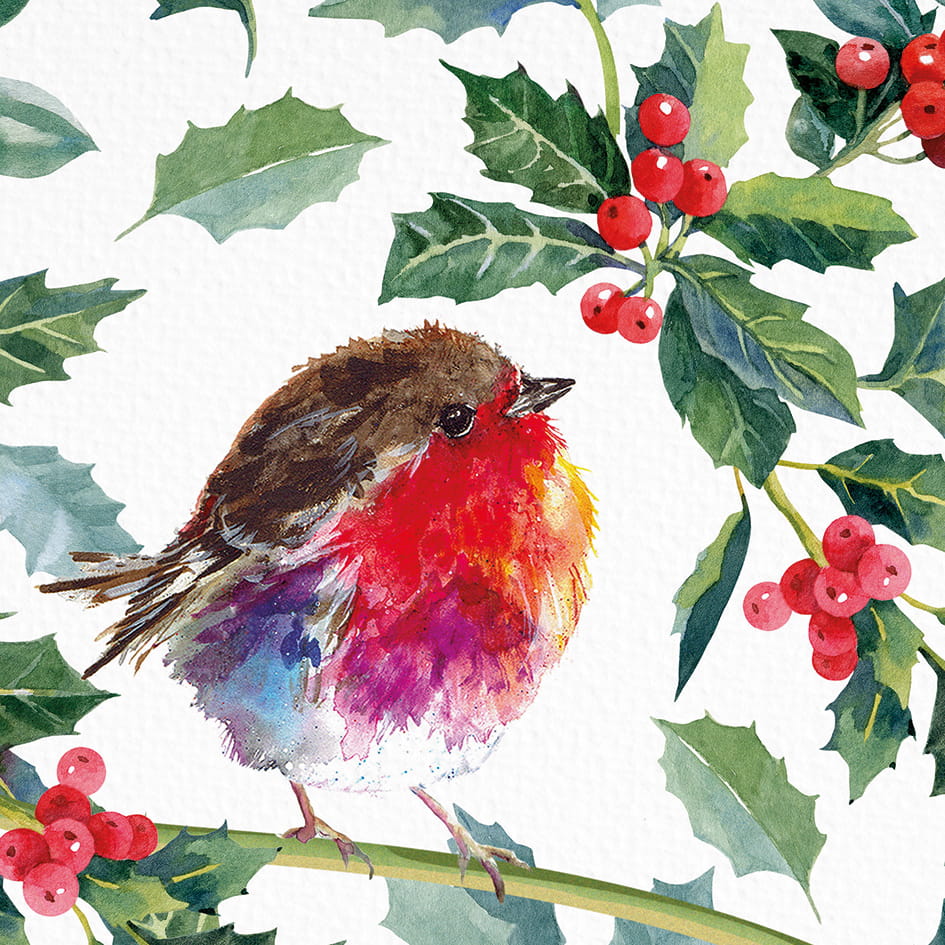 Holly Robin Christmas Cards