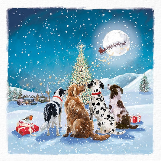 Have you been good? Christmas Cards