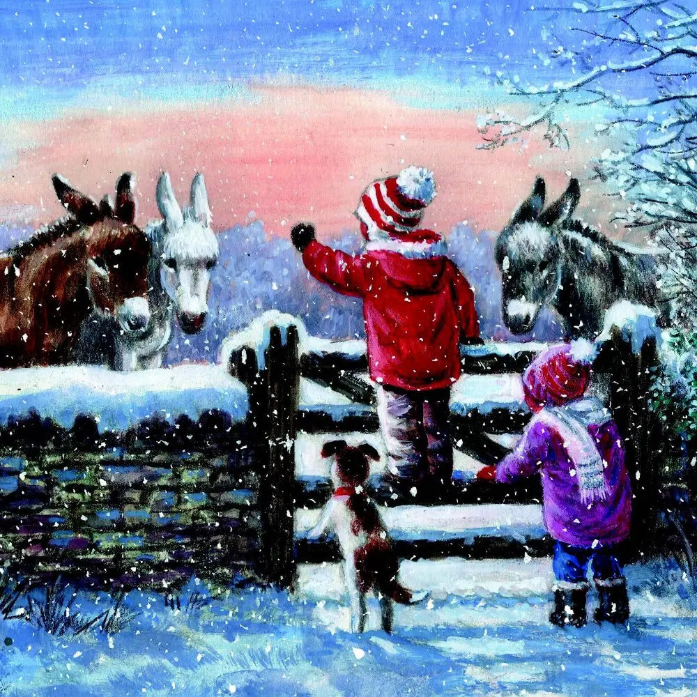 Donkey Greetings Christmas Cards